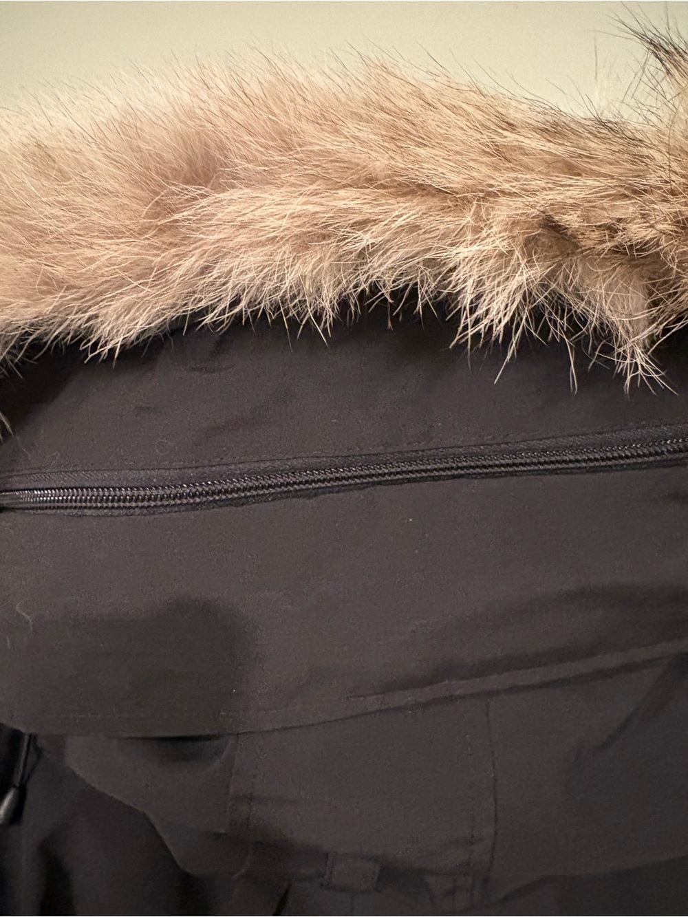 Canada Goose Carson Parka - Picture 8 of 14